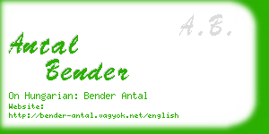 antal bender business card